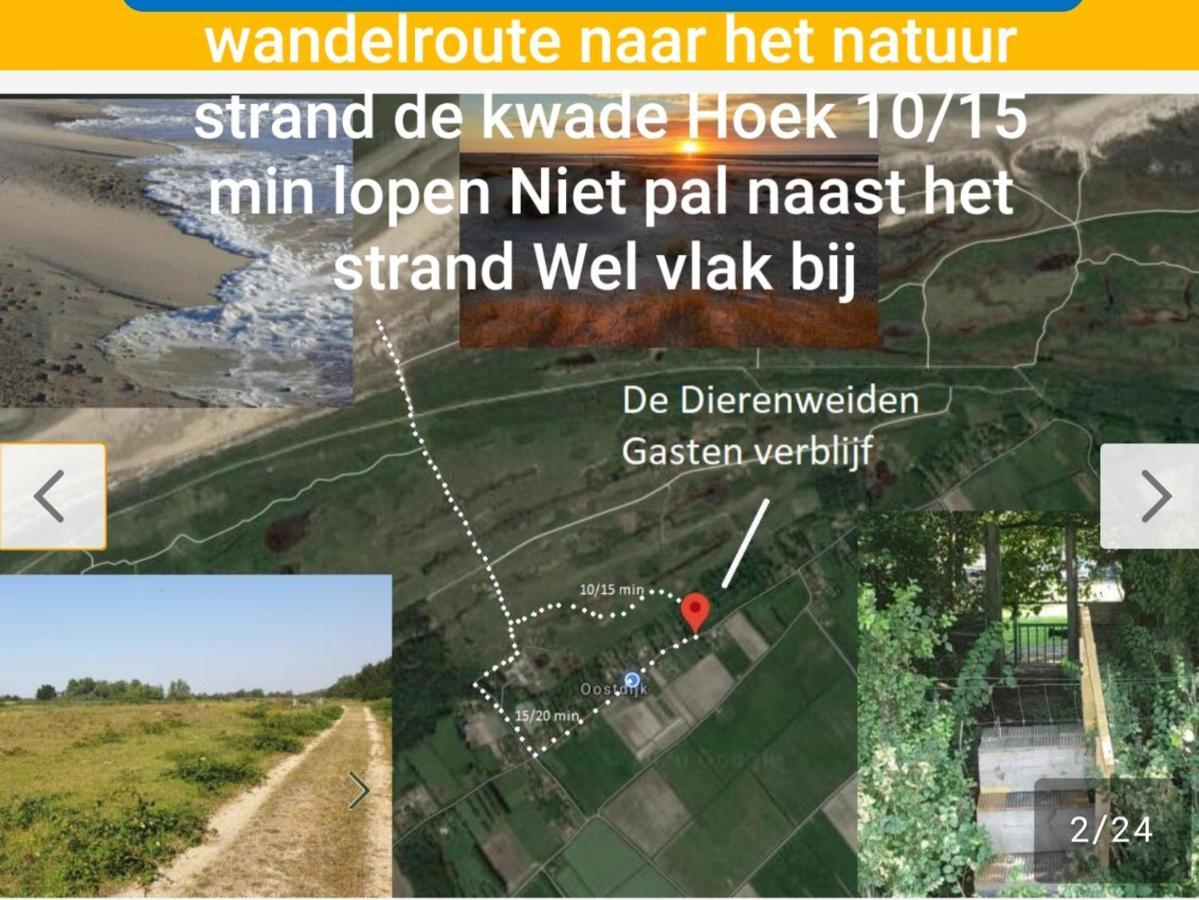 De Dierenweiden Goedereede Exteriör bild